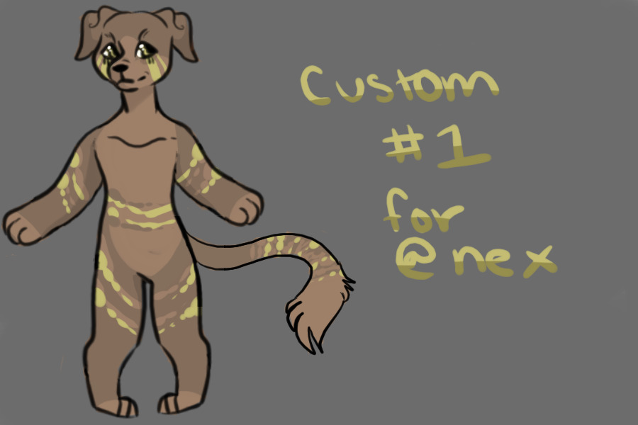 Custom #1