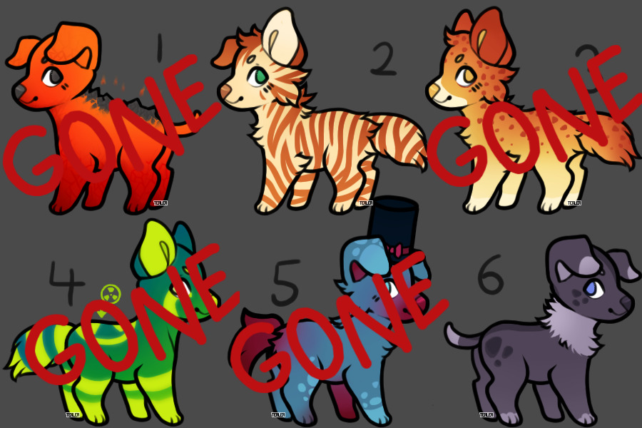 1c$ Adopts (Closed)