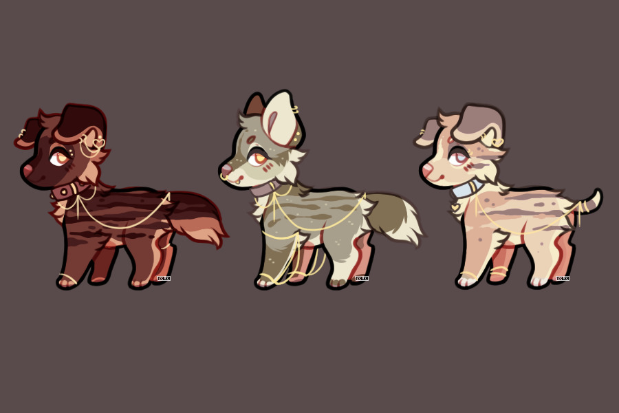 Pup Adopt Auction | CLOSED