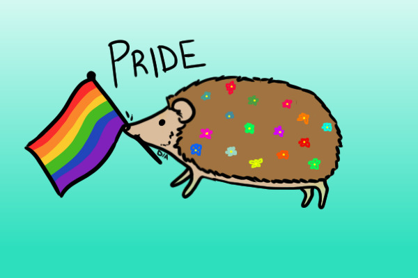 Cute pride hedgie!!