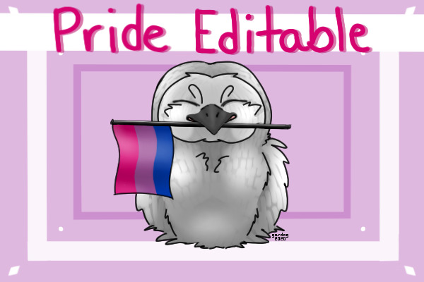 Owl/Bird Chick Pride Editable