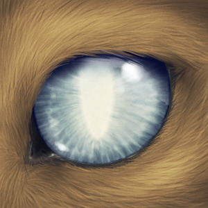 Blind Cat Eye