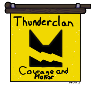 thunderclan flag