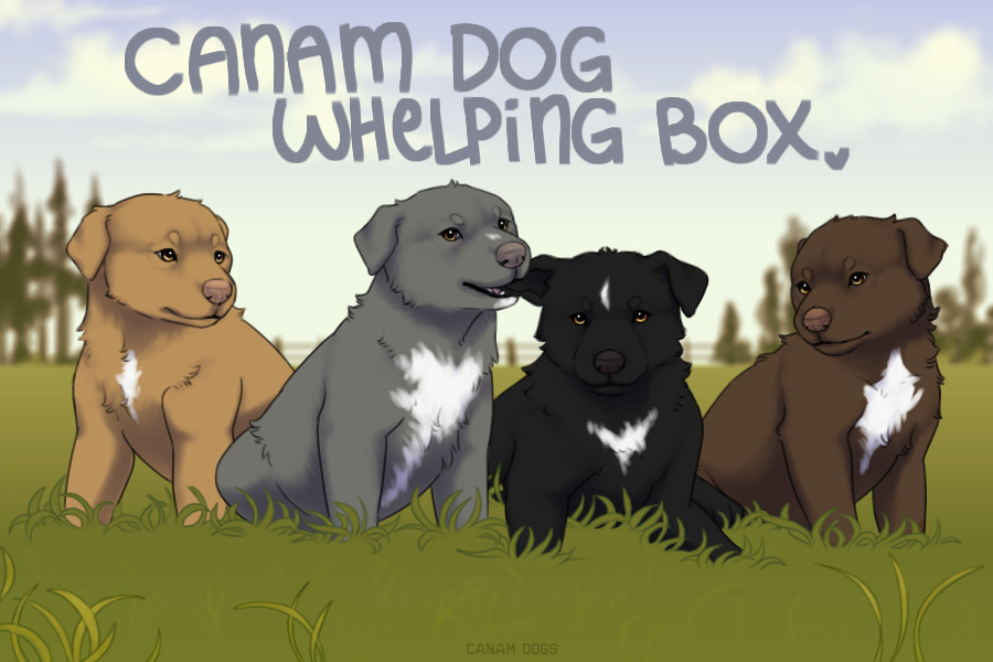 Canam Dog Whelping Box