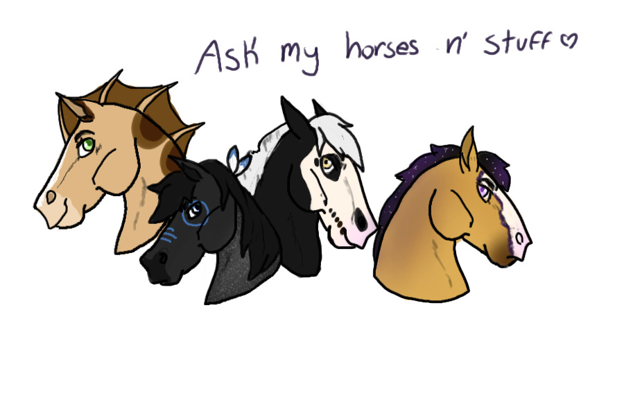 Ask My Horses n’ stuff