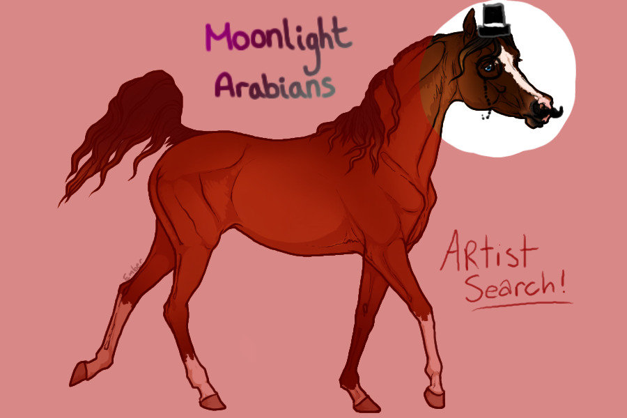 Moonlight Arabians Staff Search