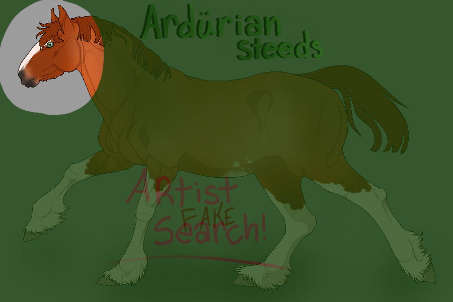Ardurian Steeds Staff Search!