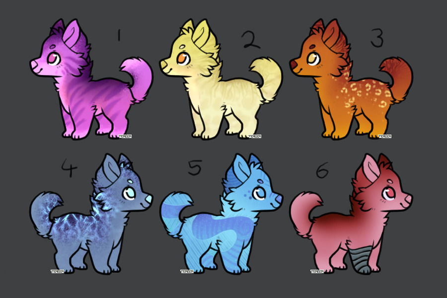 1c$ Adopts (Open)