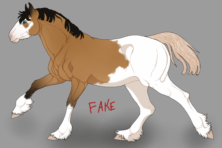 E2 : Buckskin Splash