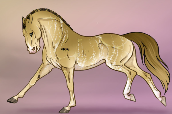 Mealy chestnut for dubai.