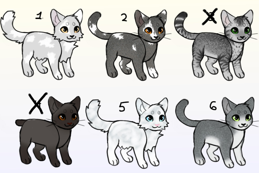 Gray Cat Adopts - lowered prices