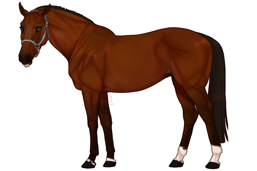 Euphorian Thoroughbred #687