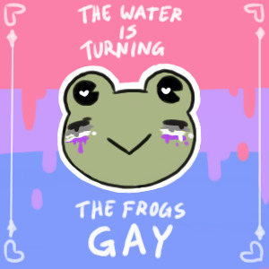 turn the fricken frogs gay