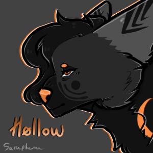 hollow