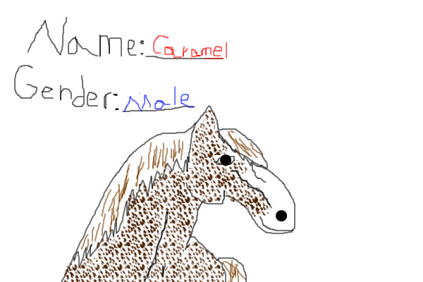 Adoptable Horse Sample 1