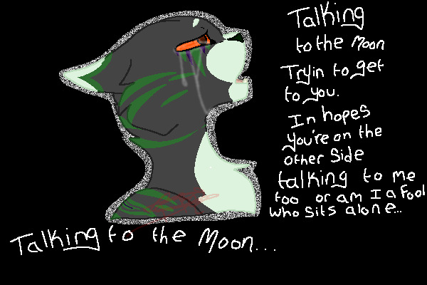 Talking To The Moon..