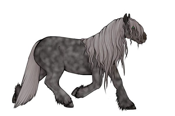 Cliffside Clydesdale||001