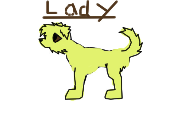 Lady