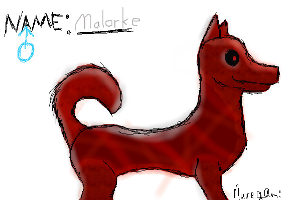 My entry