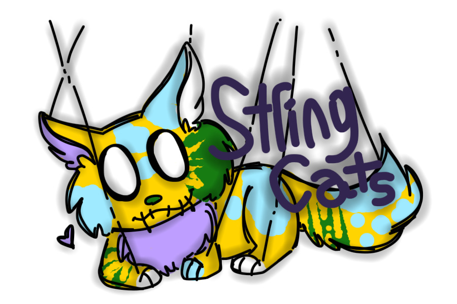 String cat banner