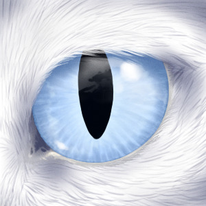 Eye of Snowbranch