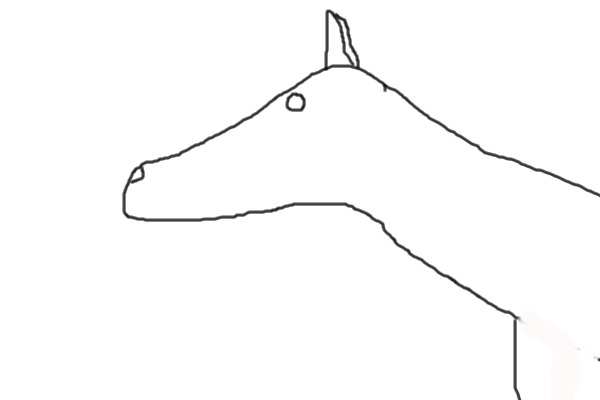 horse