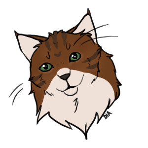 attack: CJMiaou