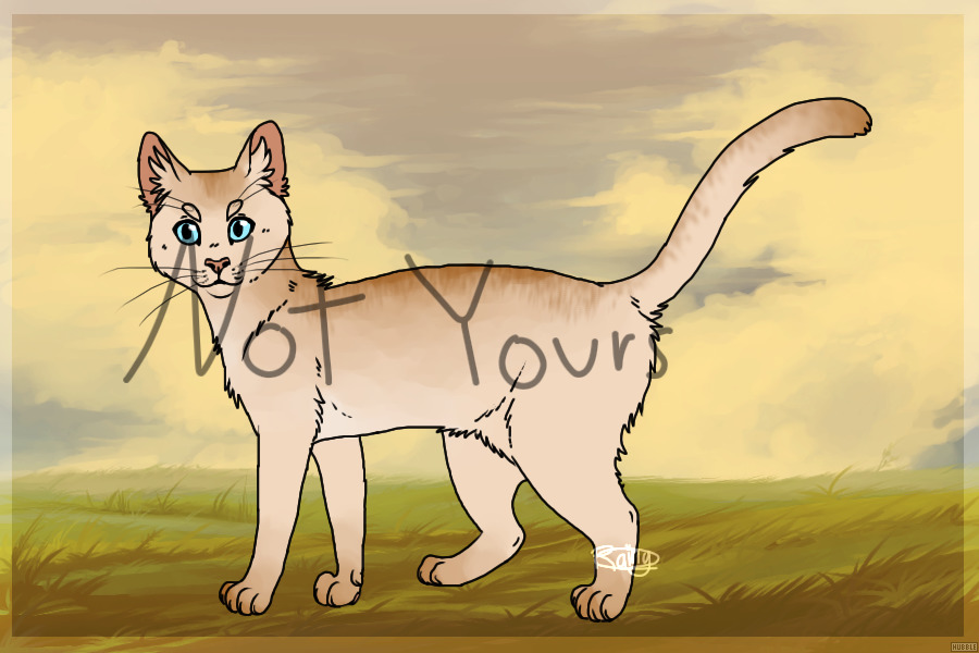 Adopt #2: SH Flame Ticked Tabby with Blue Eyes