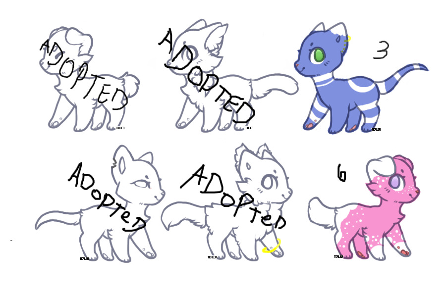 Adoptables Cats- OTA and Giveaways