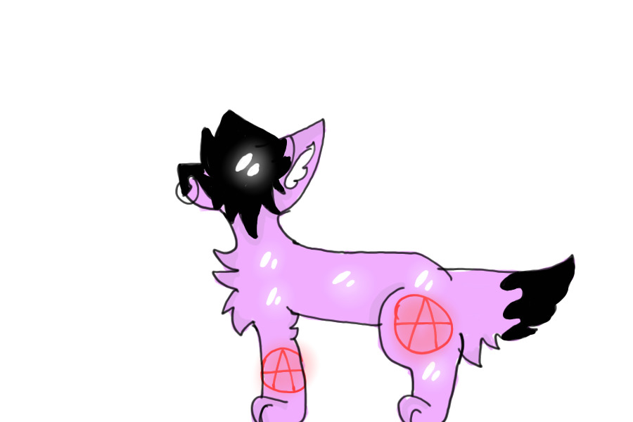 im a punk star