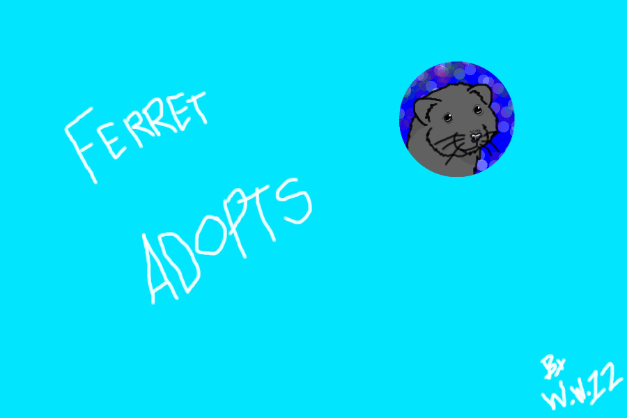 Ferret Adopts