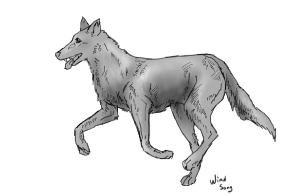 Free to use, Running wolf :3 More Extras Added!