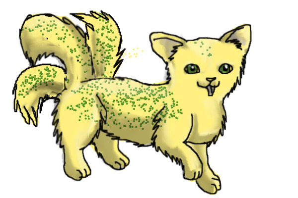 Kitty