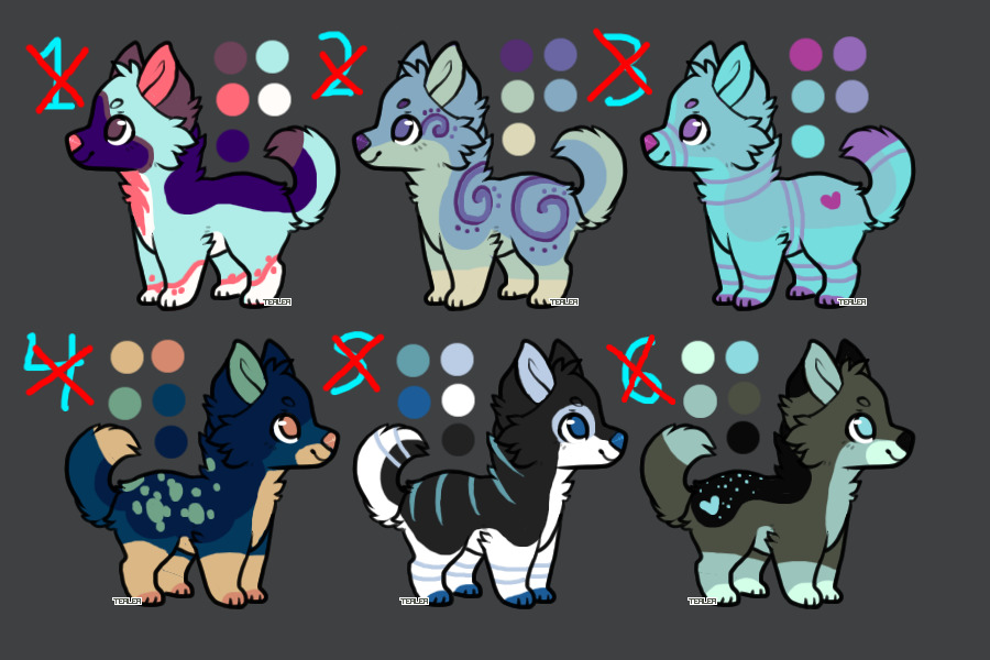 Blue puppers 5 tokens each