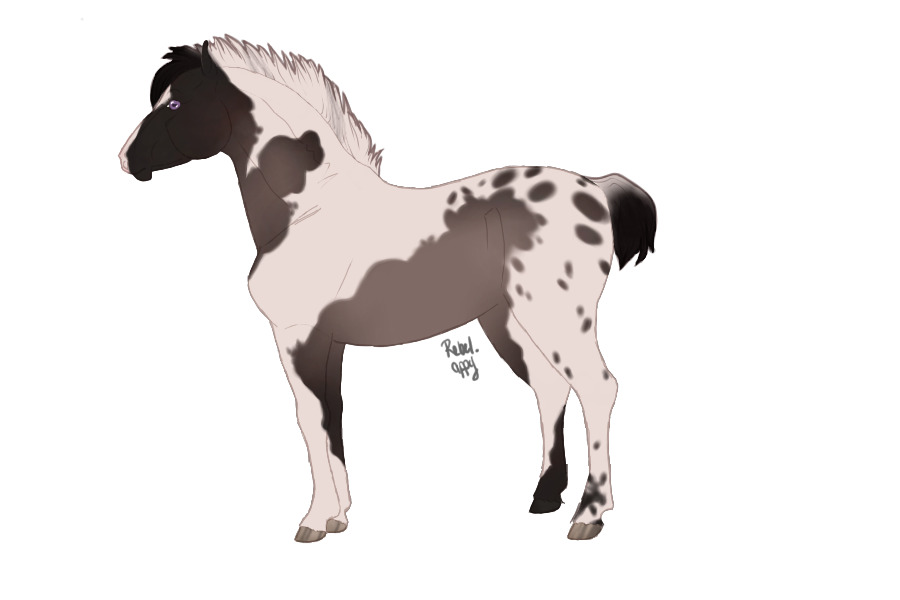 horse design for rebel