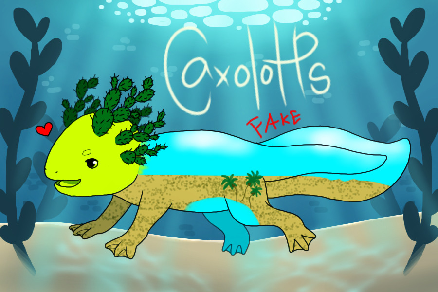 Caxolotle Entry