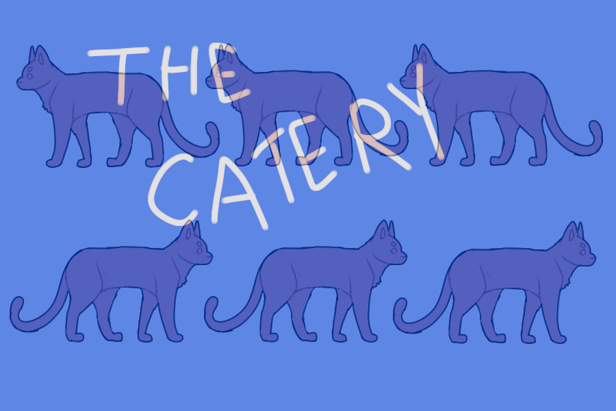 The Catery
