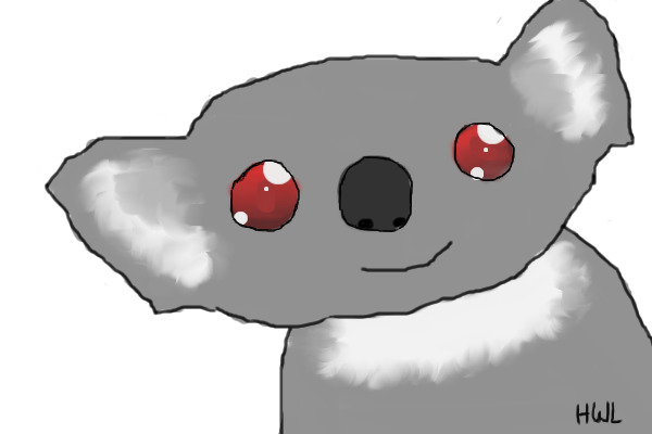 Koala