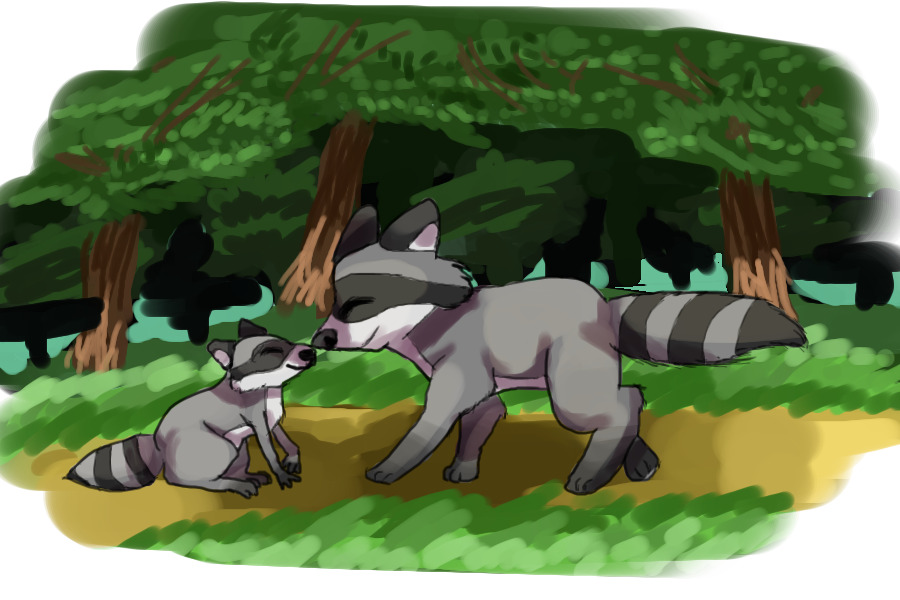 Raccoon has a pet raccoon