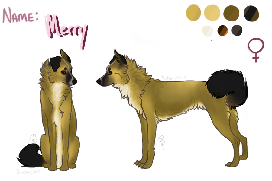 Merry -transparent