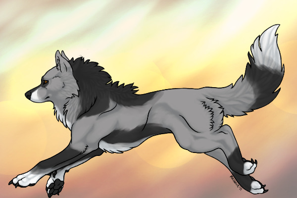 Storm Runner