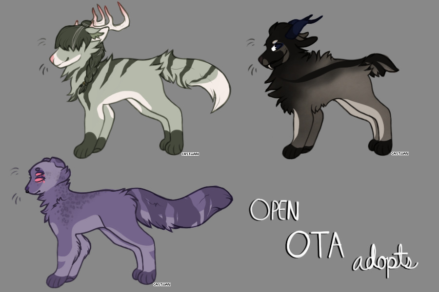 ota adopts [ open ]