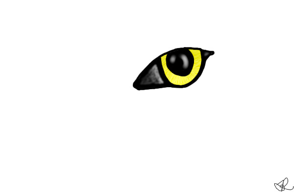 Random Wolf Eye