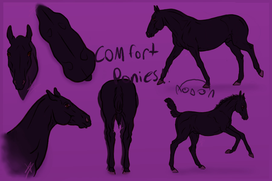 Ranger's Comfort ponies!
