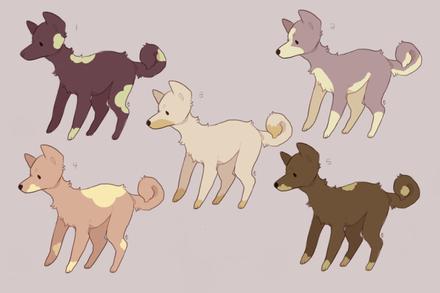 palette adopts (CLOSED, ALL TAKEN)
