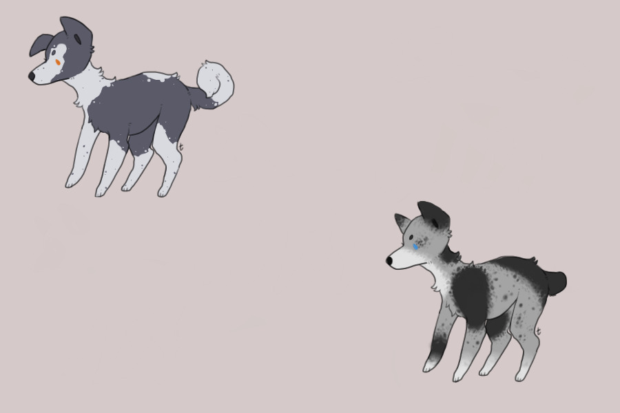 My doggo babies