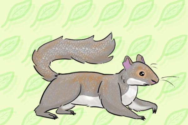 Rodents on the mind