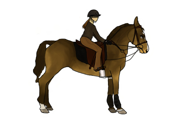 pony