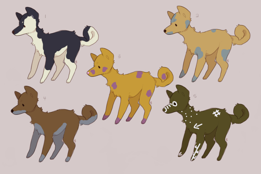 more palette adopts