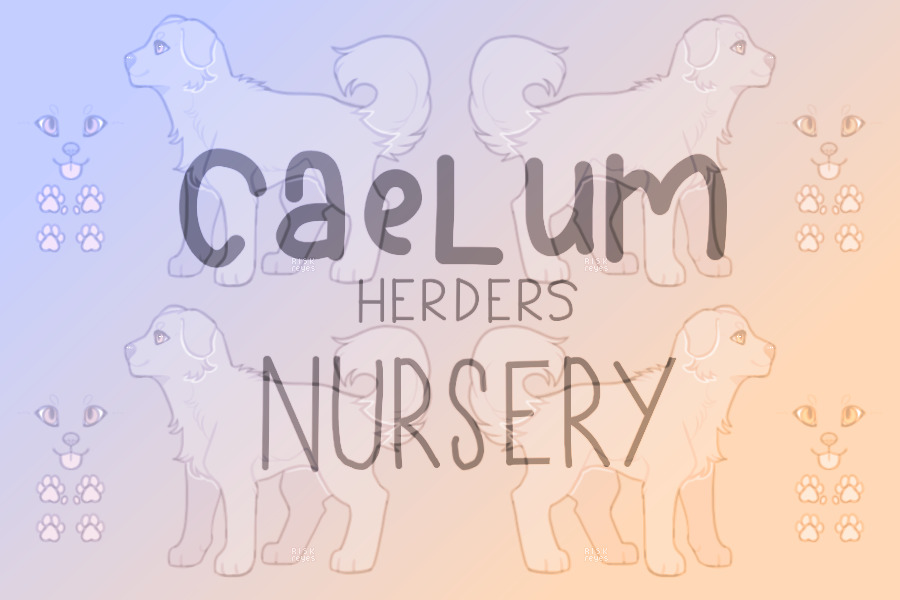 CAELUM HERDERS - Nursery